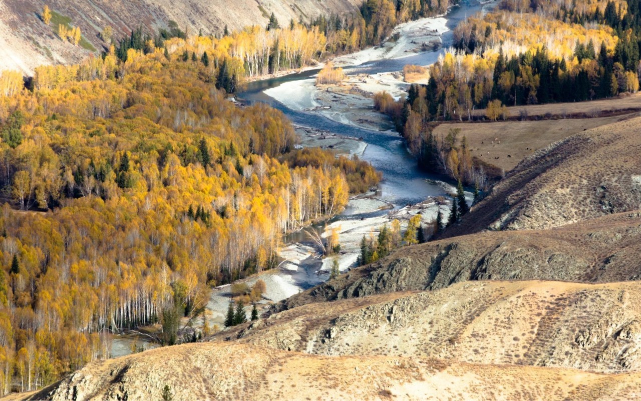 新疆，友情与家的温暖甜蜜日常