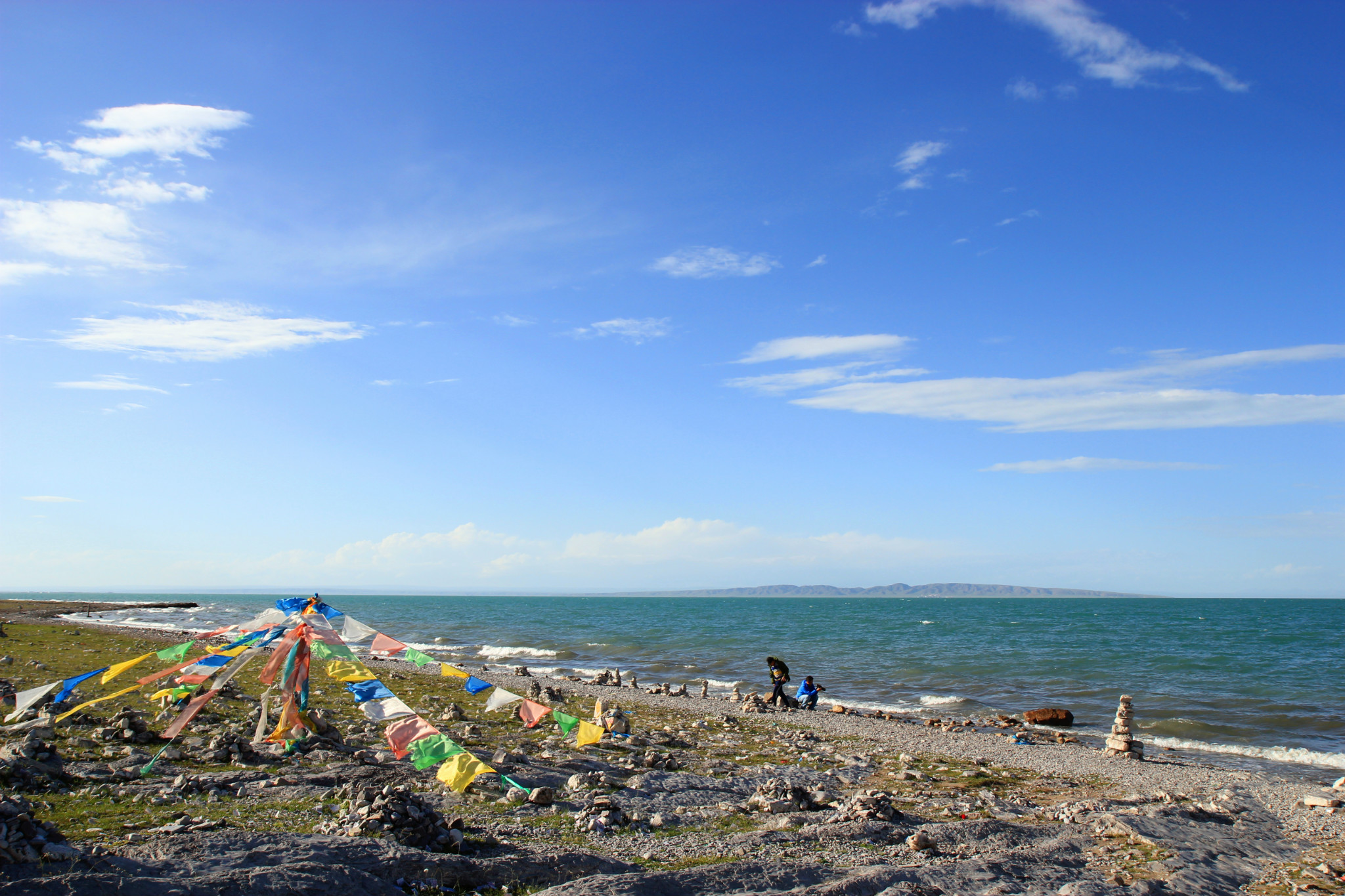 高原明珠青海，绿色家园的守护者之歌